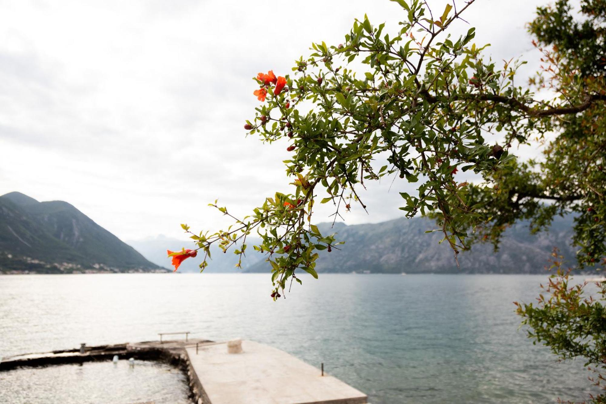 Apartments Djurovic Kotor Exteriér fotografie